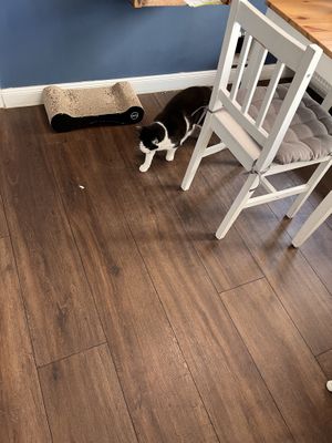   at Katers Köök in Hamburg