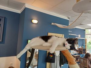  at Katers Köök in Hamburg