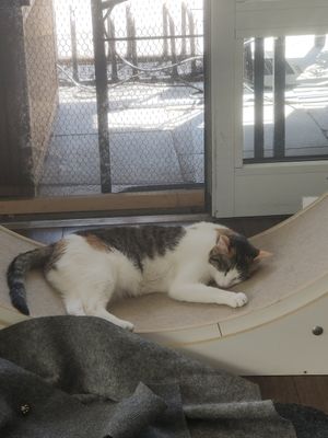  at Katers Köök in Hamburg