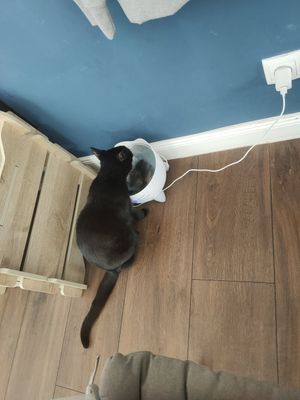  at Katers Köök in Hamburg