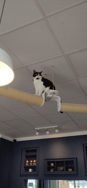  at Katers Köök in Hamburg