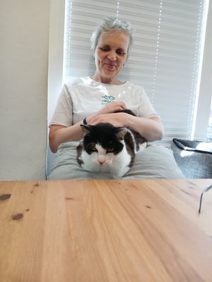 Mit Kissen auf dem Schoß kommt sie, um zu bleiben at Katers Köök in Hamburg