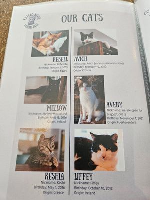  at Katers Köök in Hamburg