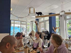  at Katers Köök in Hamburg