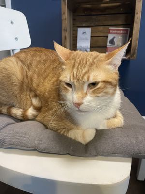   at Katers Köök in Hamburg