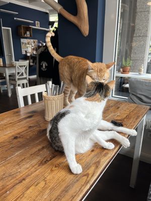   at Katers Köök in Hamburg