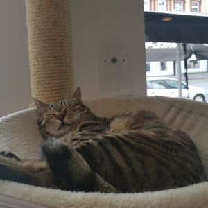 Chilling at Katers Köök in Hamburg