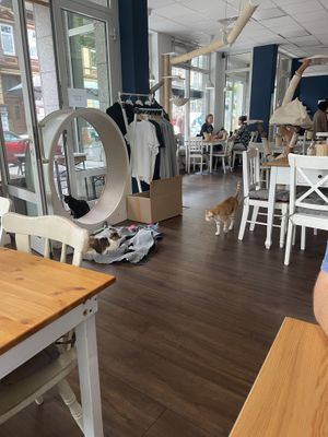   at Katers Köök in Hamburg