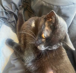   at Katers Köök in Hamburg