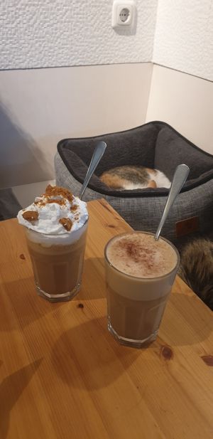 Lebkuchen latte und lotus latte at Katers Köök in Hamburg