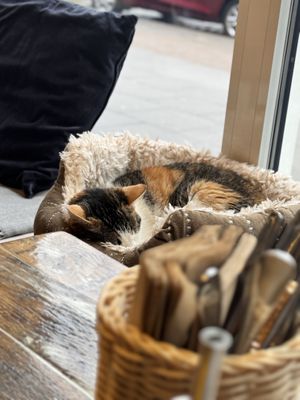   at Katers Köök in Hamburg