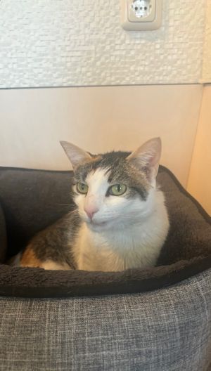  at Katers Köök in Hamburg