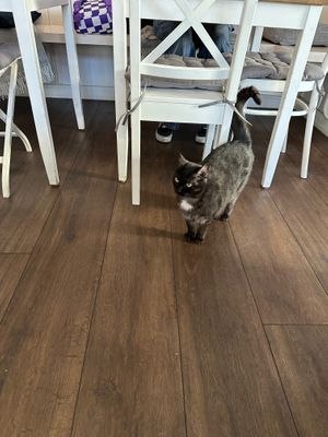  at Katers Köök in Hamburg