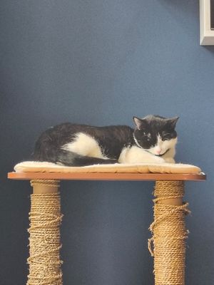  at Katers Köök in Hamburg