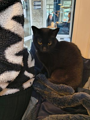  at Katers Köök in Hamburg