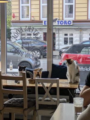  at Katers Köök in Hamburg