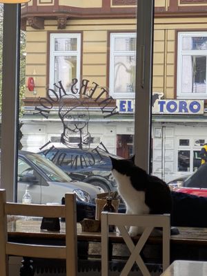  at Katers Köök in Hamburg