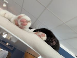  at Katers Köök in Hamburg