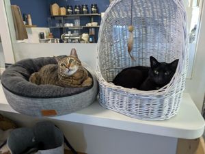  at Katers Köök in Hamburg