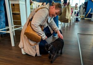 One of the friendly cats at Katers Köök at Katers Köök in Hamburg