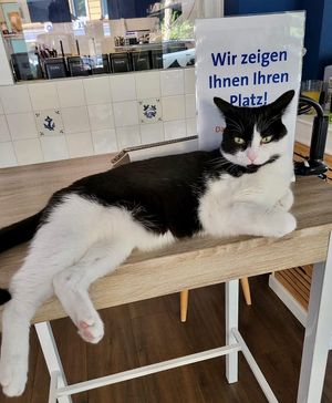  at Katers Köök in Hamburg