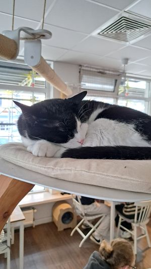  at Katers Köök in Hamburg