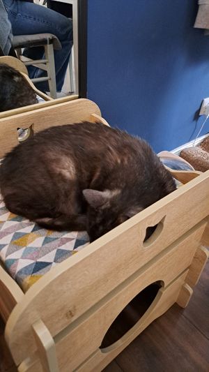  at Katers Köök in Hamburg