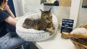   at Katers Köök in Hamburg