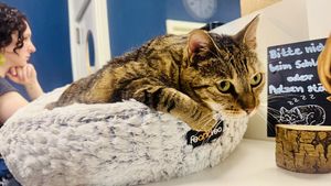   at Katers Köök in Hamburg