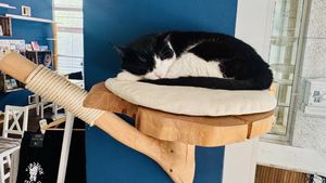   at Katers Köök in Hamburg