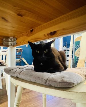   at Katers Köök in Hamburg