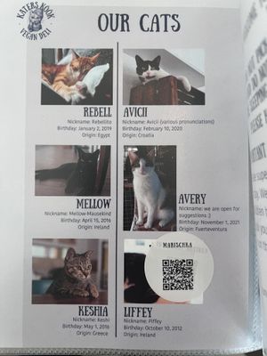   at Katers Köök in Hamburg