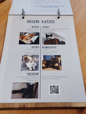 Cats at Katers Köök in Hamburg