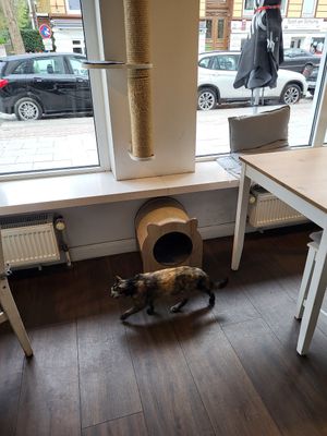  at Katers Köök in Hamburg