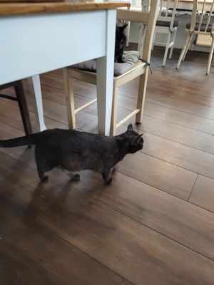  at Katers Köök in Hamburg