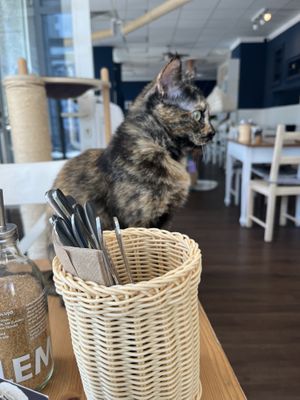   at Katers Köök in Hamburg
