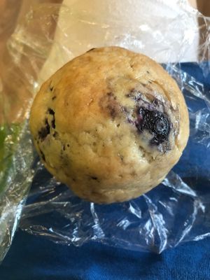 Vegan blueberry muffin at Juice Topia  at Juice Topia in Rocky Mount