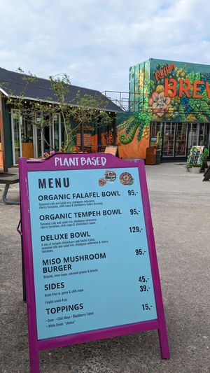 Fully vegan menu July 2024 at Ibiza bowls in Copenhagen