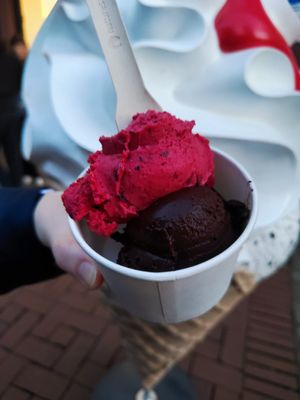 Waldfrucht und Schokoladensorbet (beide vegan) at Leine Eis in Hannover