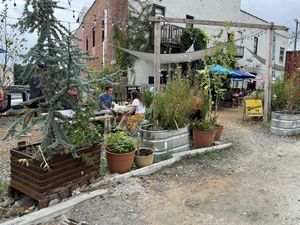 Outside  at Krankies in Winston-salem