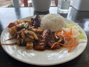 #30 Chon 1-3 mon- (Choice of 3 entrees)- Teriyaki vegan soy drumstick, spicy vegan soy ribs (shown in front), and sauteed vegetables at Veggie Garden in Orlando
