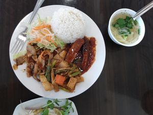  at Veggie Garden in Orlando