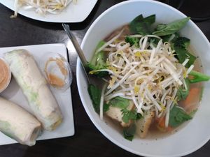 pho and fresh rolls at Veggie Garden in Orlando