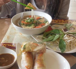 Vegan pho with Tofu and Spring rolls at Veggie Garden in Orlando