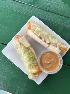 spring rolls with peanut sauce    at Veggie Garden in Orlando