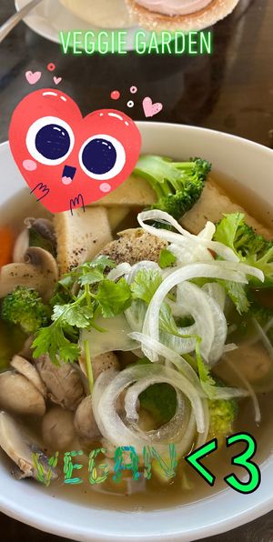 House special at Veggie Garden in Orlando