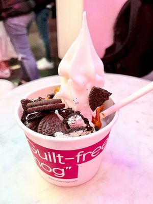   at Snog Frozen Yogurt in London