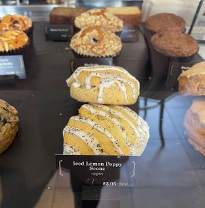 Lemon poppy seed scone   at Peet's Coffee in San Diego