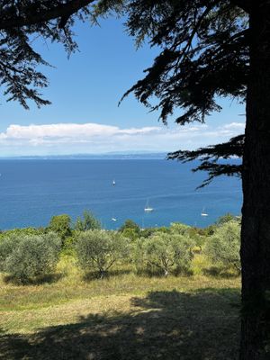   at Kamin in Izola