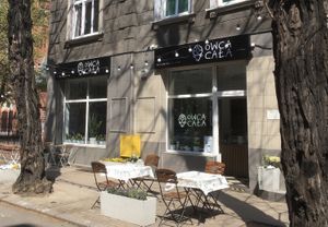 Vegan Pasta Bar  at Owca Cała in Poznan